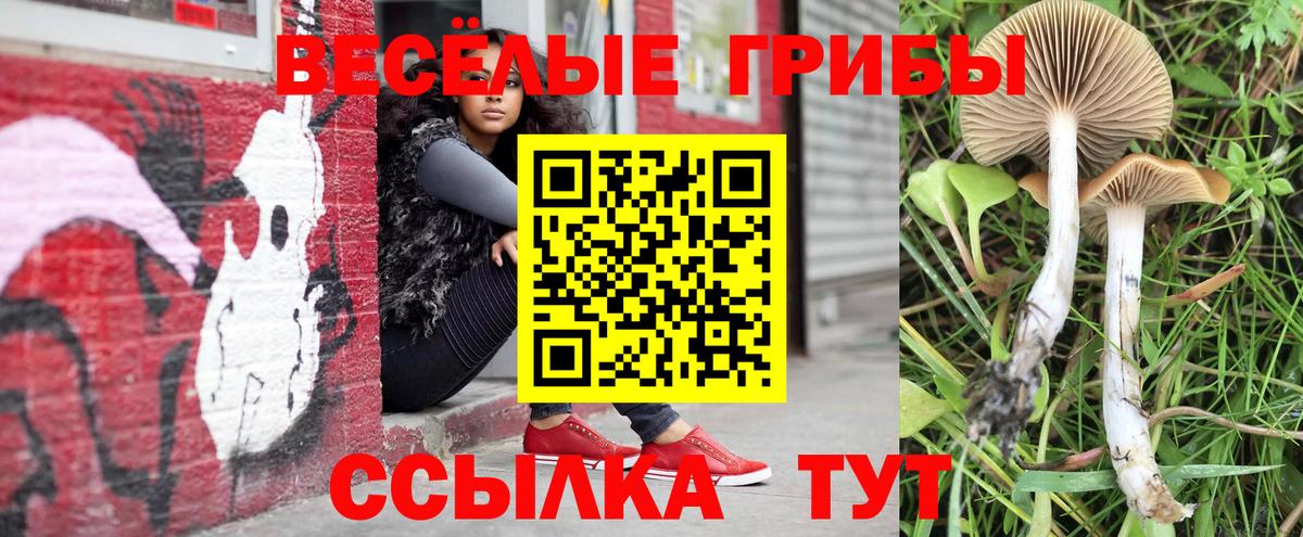 Псилоцибиновые грибы MAGIC MUSHROOMS Алексеевка